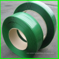 Embossed Green Pet Strap Band